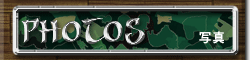 写真ギャラリー